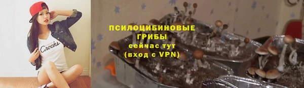 меф Алексин
