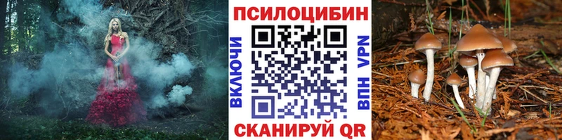 Галлюциногенные грибы мицелий Камешково